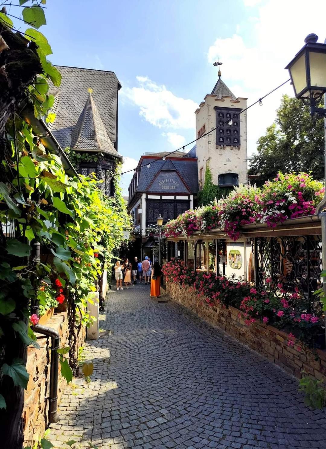 Hotel Ruedesheimer Hof Рюдесхайм-на-Рейне Экстерьер фото